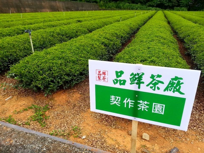 自有契作茶園 . 堅持台灣在地農產
